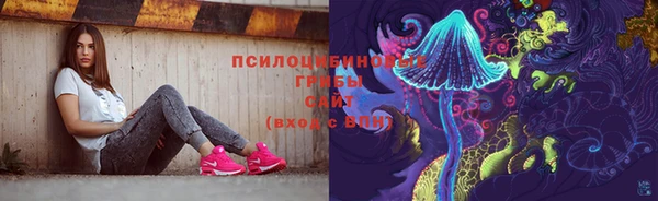 тгк Липки