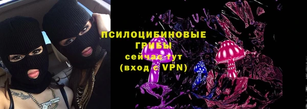 СК Киров