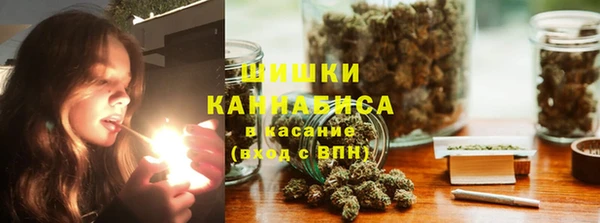 сатива Магадан