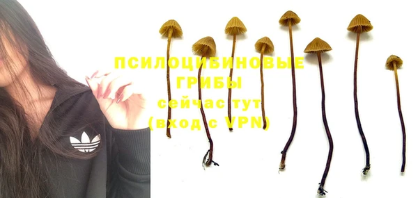 мескалин Майский