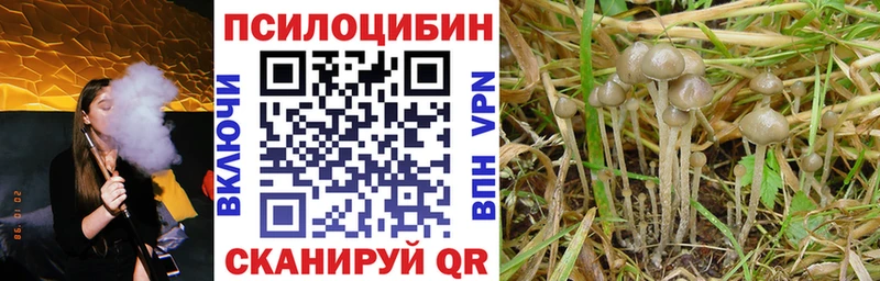 Купить закладки Минусинск Галлюциногенные грибы GOLDEN TEACHER